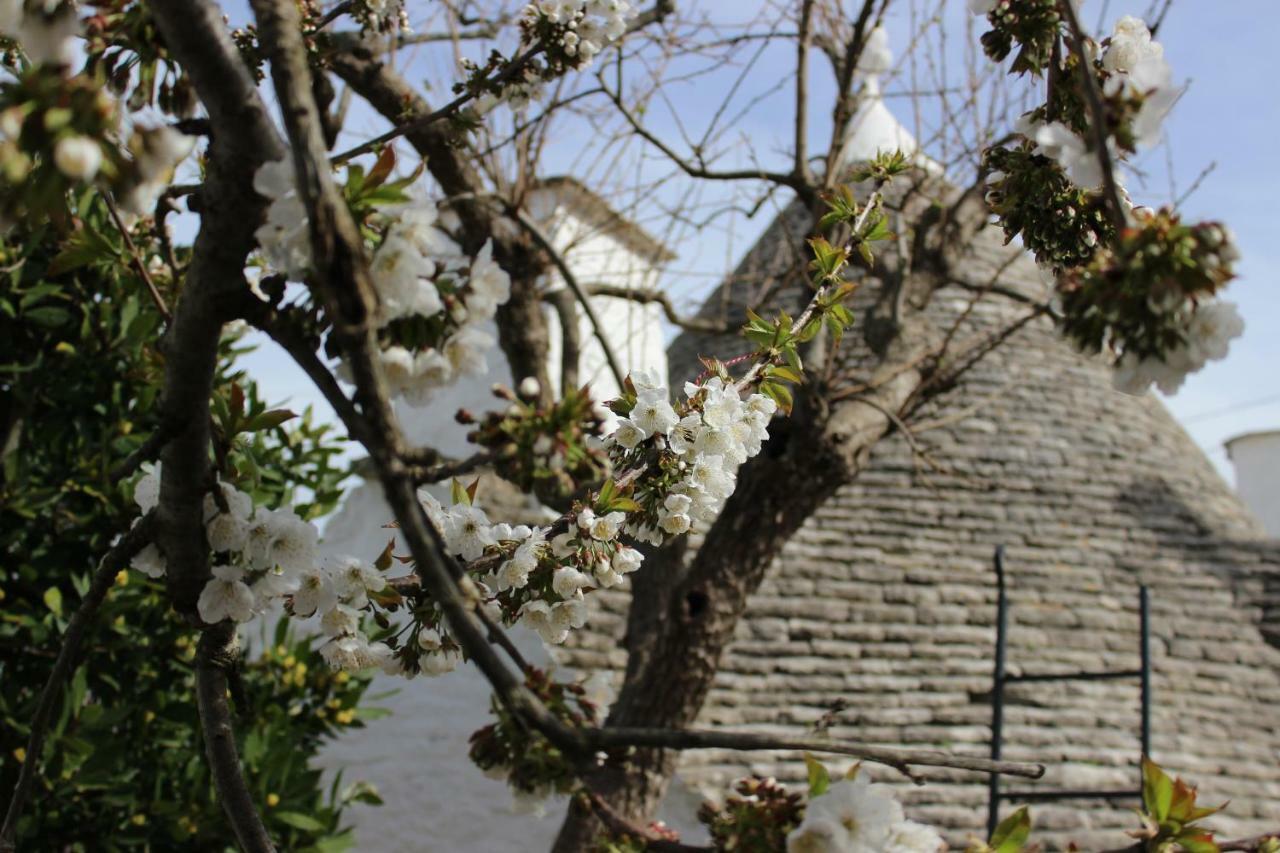 Trullo "Vicolo Fiorito" Βίλα Αλμπερομπέλο Εξωτερικό φωτογραφία